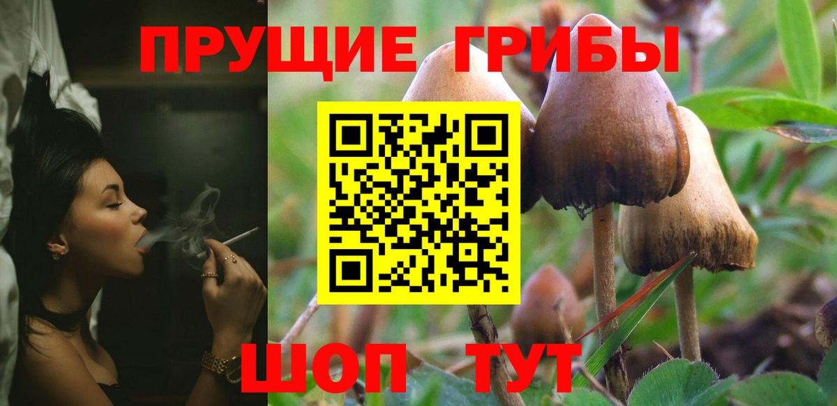 Псилоцибиновые грибы прущие грибы  Псилоцибиновые грибы мухоморы  Бердск  Вход с VPN 
