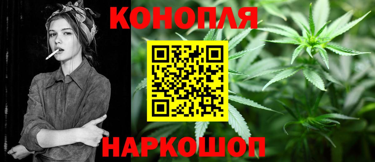 Канабис ГИДРОПОН  Бошки Шишки OG Kush  Бердск  Каннабис White Widow  Вход с VPN 
